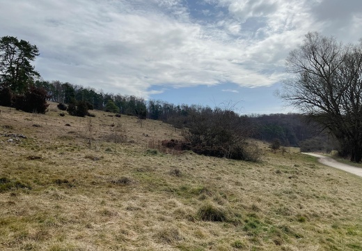 25-03-22 10-34-43 2505